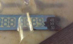 IMAG2867
