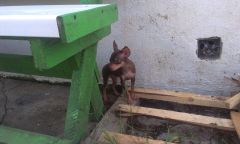 IMAG0414
