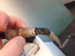 post-2159-0-94505800-1456483797_thumb.jpeg